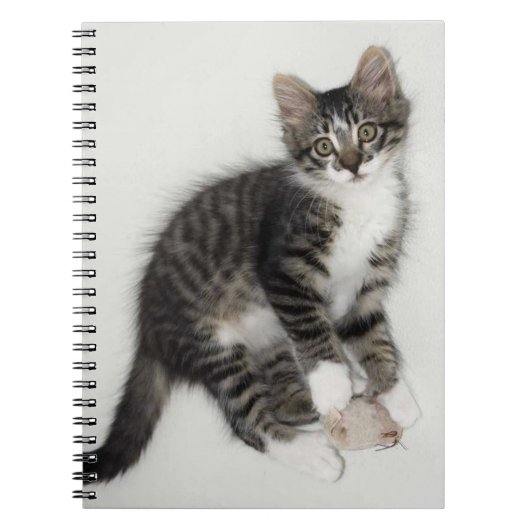 Zorro und sein Mouse-Notebook Notizblock (Vorderseite)
