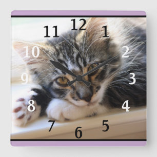 ZorroCat an der Fensterwand Quadratische Wanduhr