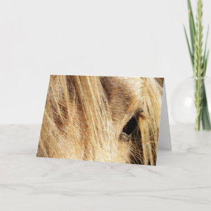 Zottelige Mähne Geburtstag Karte