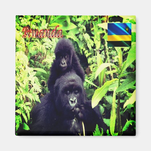 zRW003 RWANDA, Gorilla im Nationalpark, Kühlschran Magnet (Vorne)