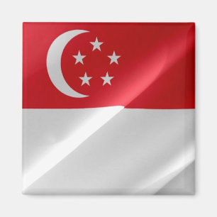 zSG002 schwingende singapurische FLAG Singapur, Kü Magnet