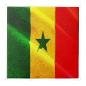 zSN002 SENEGAL, Waving Flag, Afrika, Kühlschrank Fliese (Vorderseite)