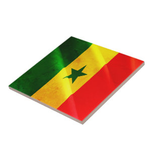 zSN002 SENEGAL, Waving Flag, Afrika, Kühlschrank Fliese