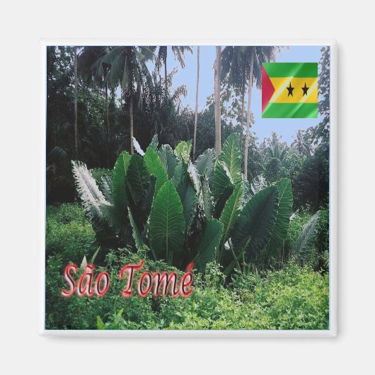 zST004 SAO TOME, Afrika, Kühlschrank Magnet (Vorne)