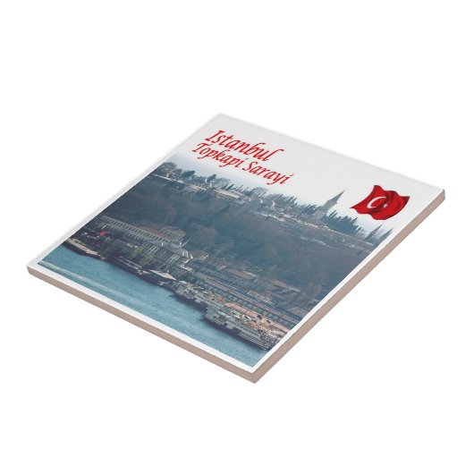 zTR009 ISTANBUL TOPKAPI, Türkei, Europa, Fliese (Seite)