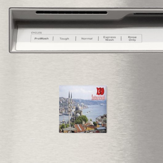 zTR020 ISTANBUL Panorama, Türkei, Europa, Kühlschr Magnet (In Situ (Geschirrspüler))