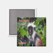 zTZ010 ZANZIBAR, Red Colobus, Tansania, Kühlschran Magnet (Vorderseite/Rückseite)