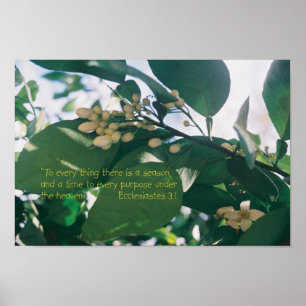 Zu allem, was es gibt, gibt es eine Saison-Skripte Poster