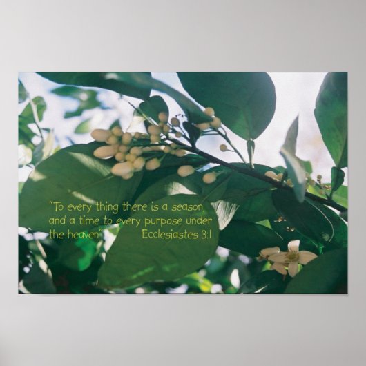 Zu allem, was es gibt, gibt es eine Saison-Skripte Poster (Vorne)