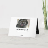 Zu alt die Katze füttern? Karte (Rückseite)