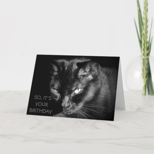 Zu alt die Katze füttern? Karte (Vorderseite)