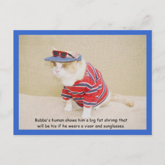 Zu Cool Bubba Kitty Postkarte