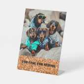 Zu Cool für Dackel in der Schule Sockelschild (Vorderseite)