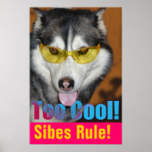 Zu Cooles Poster (Vorne)