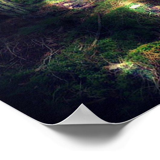 Zu den Fairies Poster (Ecke)