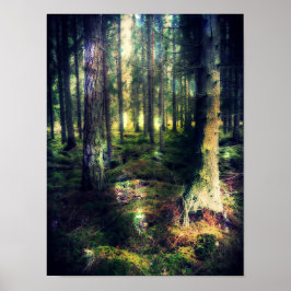 Zu den Fairies Poster