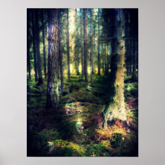 Zu den Fairies Poster (Vorne)