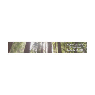 Zu den Redwoods am Morgen