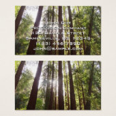 Zu den Redwoods am Morgen (Vorne & Hinten)