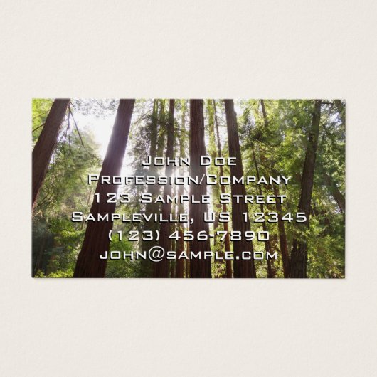 Zu den Redwoods am Morgen (Vorderseite)