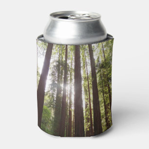 Zu den Redwoods am Morgen Dosenkühler