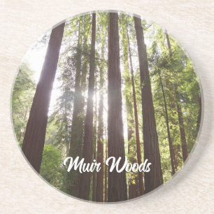 Zu den Redwoods am Morgen Getränkeuntersetzer