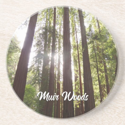 Zu den Redwoods am Morgen Getränkeuntersetzer (Vorne)