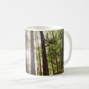 Zu den Redwoods am Morgen Kaffeetasse