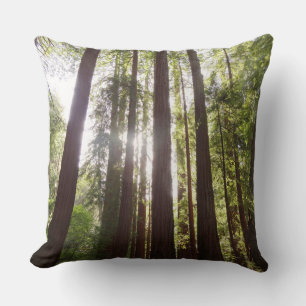 Zu den Redwoods am Morgen Kissen