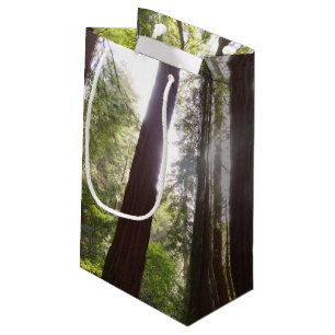 Zu den Redwoods am Morgen Kleine Geschenktüte