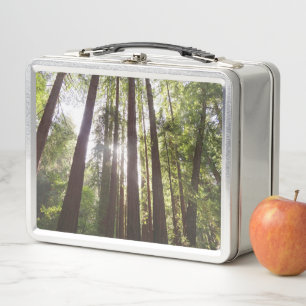 Zu den Redwoods am Morgen Metall Brotdose