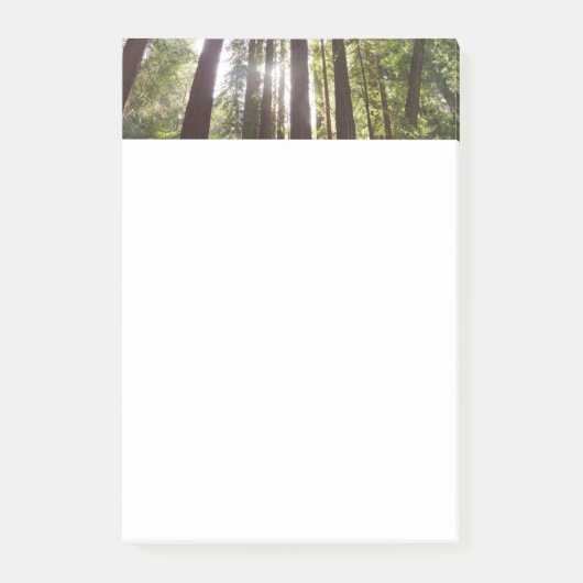 Zu den Redwoods am Morgen Post-it Klebezettel (Vorderseite)
