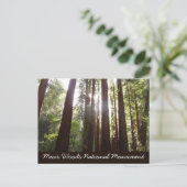 Zu den Redwoods am Morgen Postkarte (Stehend Vorderseite)