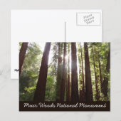 Zu den Redwoods am Morgen Postkarte (Vorne/Hinten)