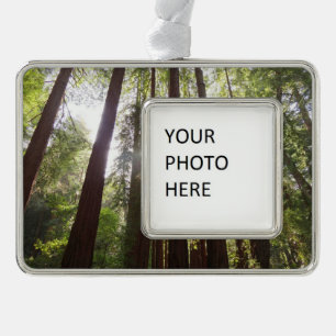 Zu den Redwoods am Morgen Rahmen-Ornament Silber