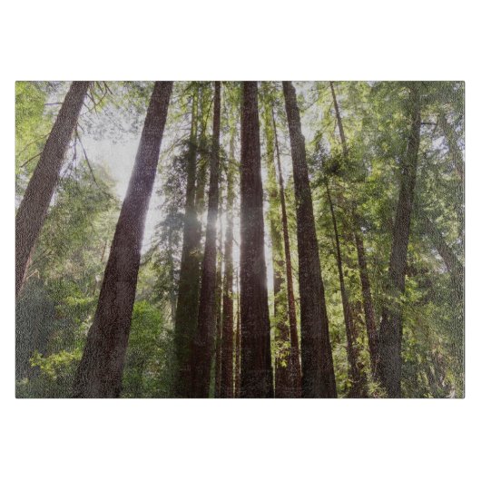 Zu den Redwoods am Morgen Schneidebrett (Vorderseite)