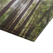 Zu den Redwoods am Morgen Schneidebrett (Ecke)