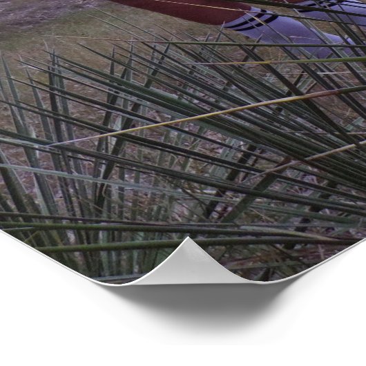 Zu den Yucca-Pflanze Poster (Ecke)