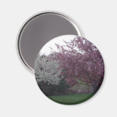 Zu Ehren von Sally_053 Magnet (Vorderseite/Rückseite)