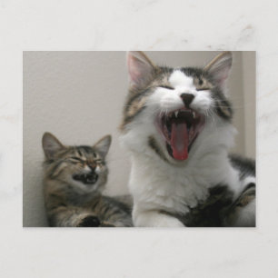 Zu Funny Postcard Postkarte