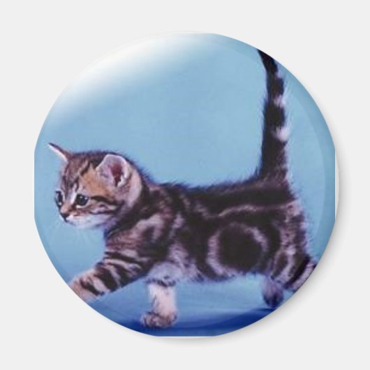 zu Fuß%20kitten%20RC%20Deutschland Magnet (Vorne)