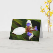 "Zu Fuß Iris." Grußkarte Karte (Gelbe Blume)
