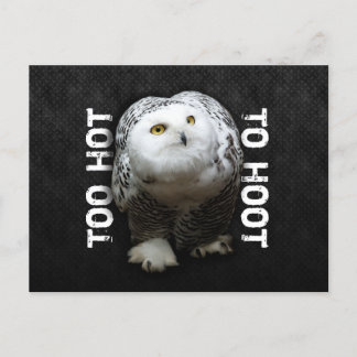 Zu heiß bis zum Hoot Postkarte