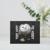 Zu heiß bis zum Hoot Postkarte (Stehend Vorderseite)