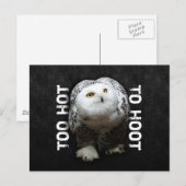 Zu heiß bis zum Hoot Postkarte (Vorne/Hinten)