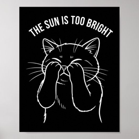 Zu helle Katze Poster (Vorne)