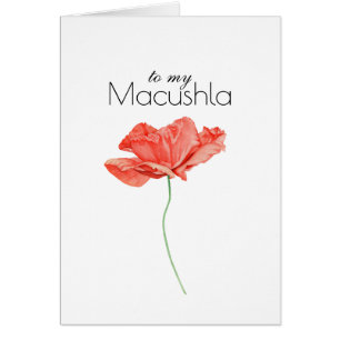 Zu meinem Macushla (Darling) mit schönem roten Moh