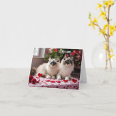 Zu meiner Liebe: Katze Valentine oder Weihnachtska Karte (Gelbe Blume)