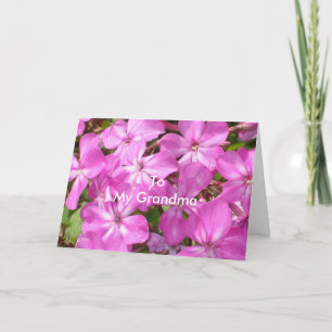 Zu meiner Oma zum Geburtstag Hübsche rosa Blume Karte