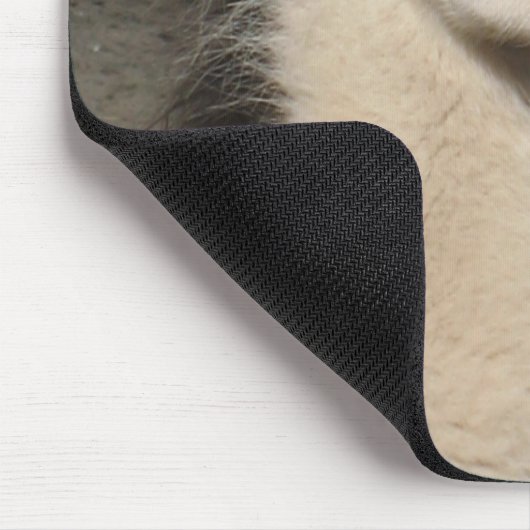 Zu Mittag essendes Lama Mousepad (Ecke)